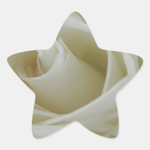 Floral Glow Star Sticker