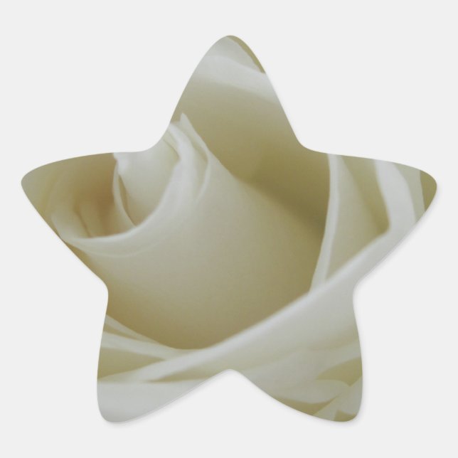 Floral Glow Star Sticker (Front)