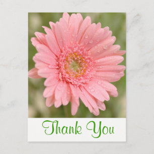 Floral Green Thank You Pink Gerbera Daisy Flower Postcard