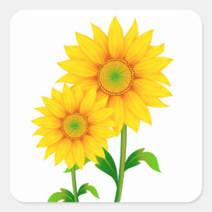 Floral Green Yellow Sunflower Flower Summer Square Sticker