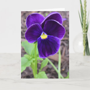 Floral Greeting Card