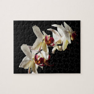 Floral Highlights of White Phalaenopsis Orchids Jigsaw Puzzle