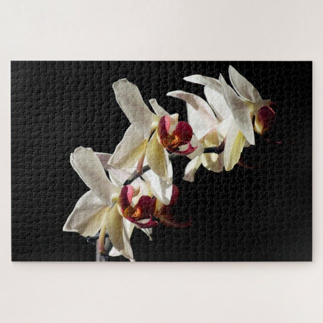 Floral Highlights of White Phalaenopsis Orchids Jigsaw Puzzle (Horizontal)