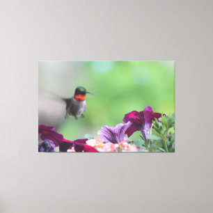 Floral Hummingbird Canvas Art