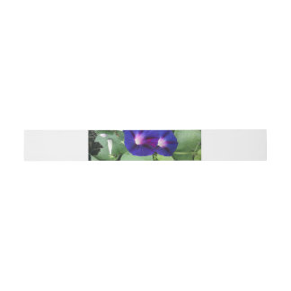 Floral Invitation Belly Band