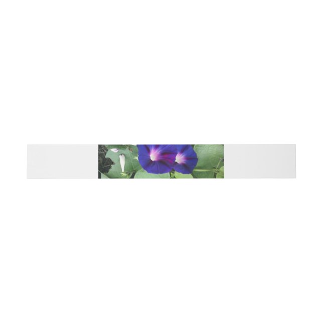 Floral Invitation Belly Band (Flat)