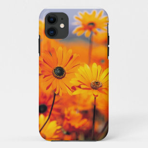 Floral Iphone 5 Universal Case
