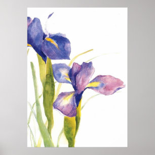 Floral Iris watercolor Poster