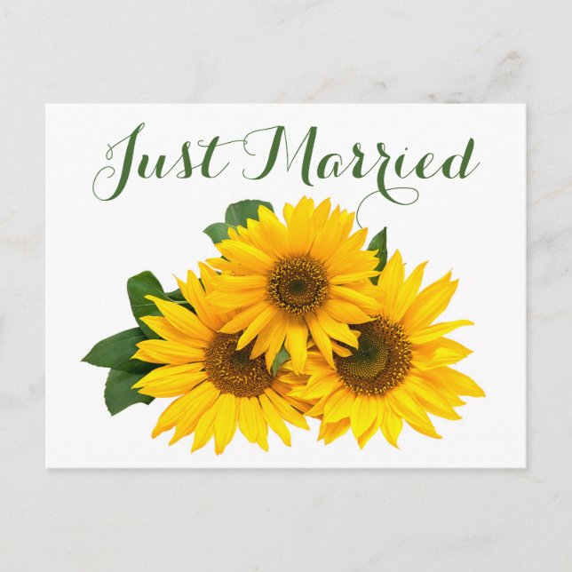 Floral Just Married Sunflower Yellow Green Wedding Announcement Postcard (Front)