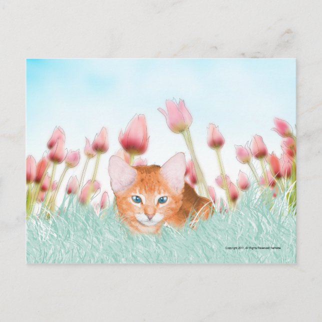 Floral Kitten Postcard (Front)