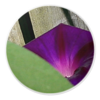 Floral Knob