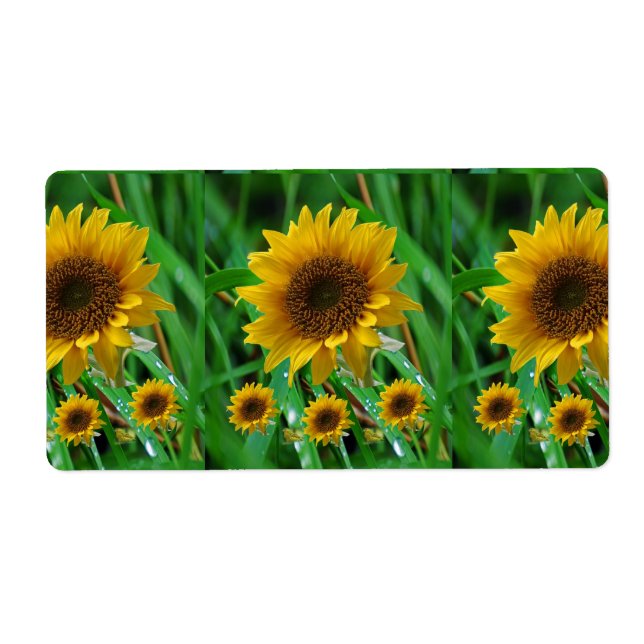 Floral Labels Sunflower (Front)