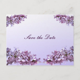 Floral Lilac Flowers Save the Date Announcement Postcard