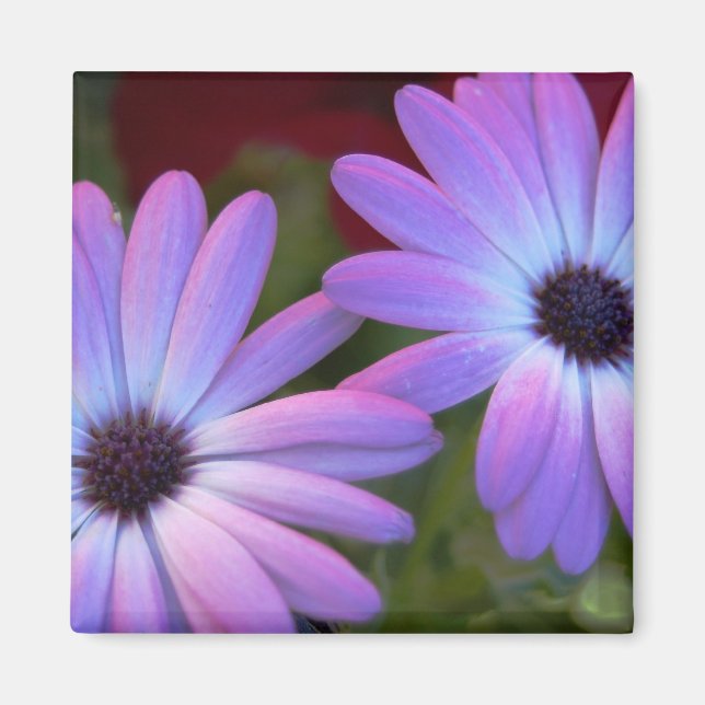 Floral Magnet (Front)