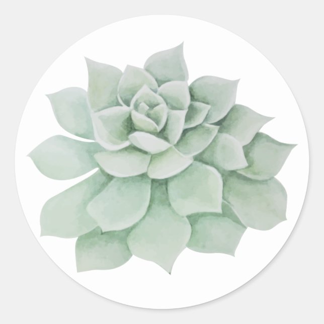 Floral  Mint Green Succulent Cactus Classic Round Sticker (Front)
