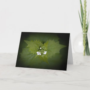 Floral Nature Photo Card