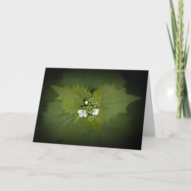 Floral Nature Photo Card (Front)