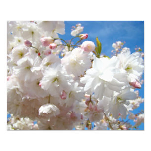 Floral nature Photography prints Blossom Flowers