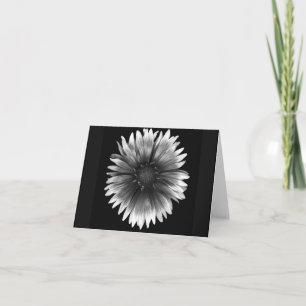 Floral Note Card of  Fiery Silver Daisy