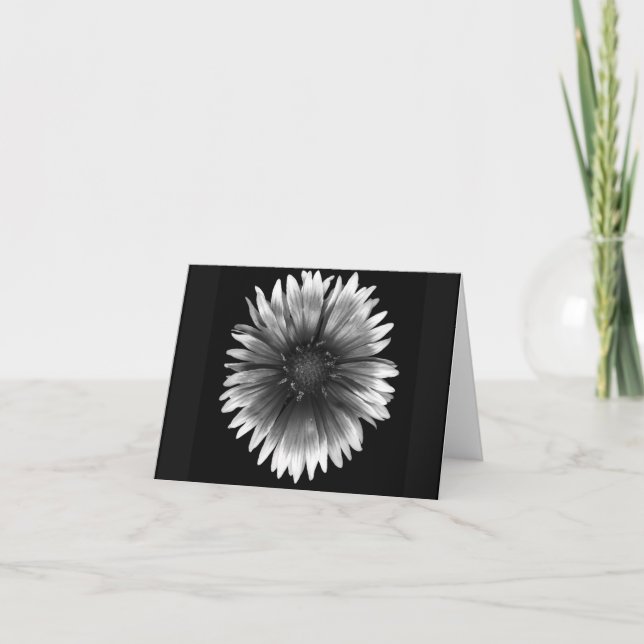 Floral Note Card of  Fiery Silver Daisy (Front)