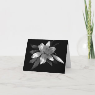Floral Note Card Silver Stargazer Lily