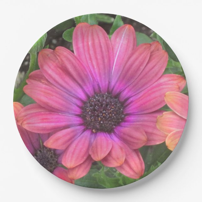 Floral Paper Plate (Front)