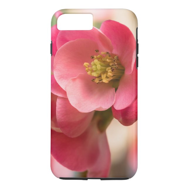 Floral Pattern Case Mate IPhone 8Plus/7 Plus (Back)