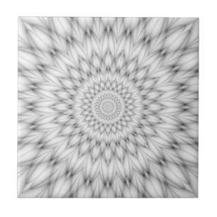 Floral Pattern in Black and White Tile