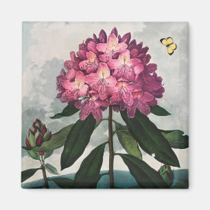 Floral Pattern Magnet
