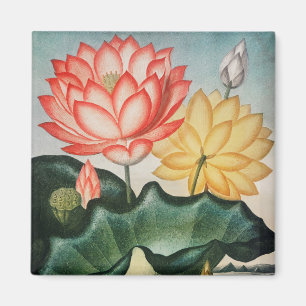 Floral Pattern Magnet