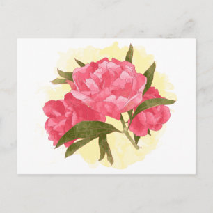 Floral Peony Pink Flowers Vintage Watercolor Postcard