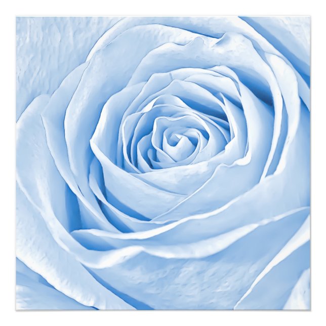 Floral Photo Dainty Light Blue Rose Print (Front)
