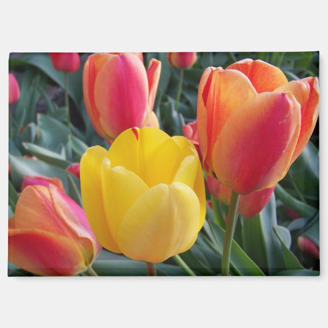 Floral Photo Magnet (Front)