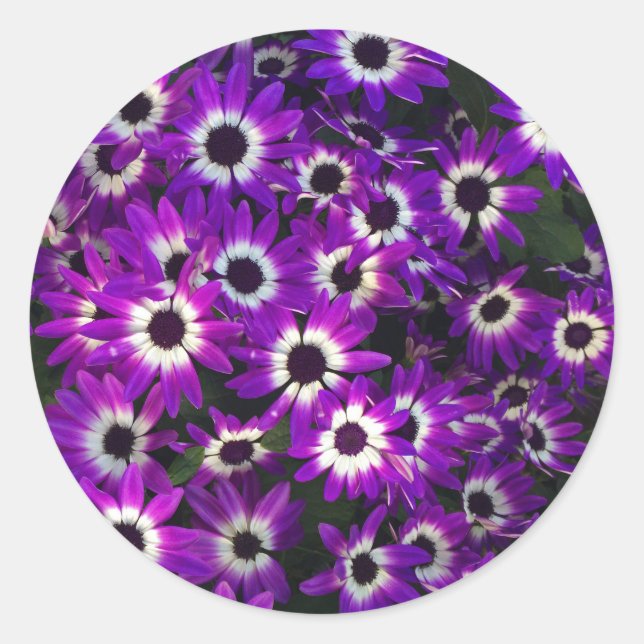 Floral Photo Purple Petals Black White Flower Classic Round Sticker (Front)