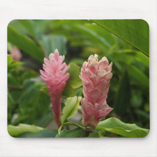 Floral Photography Mouse Pad (Front)