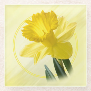 Floral Photography Yellow Daffodil Nature Pic Glass Coaster