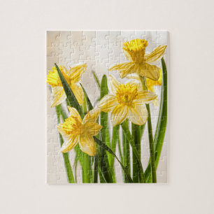 Floral Photography:  Yellow Spring Daffodils Jigsaw Puzzle