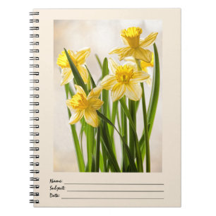 Floral Photography: Yellow Spring Daffodils Spiral Notebook