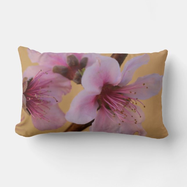 Floral, Pink Blossoms on Golden Tan Back Lumbar Cushion (Front)