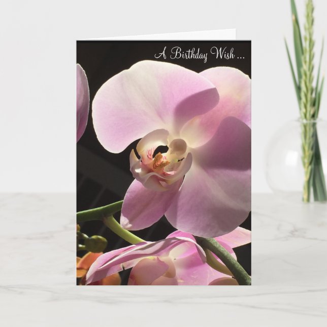 Floral Pink Orchid Happy Birthday Card (Front)