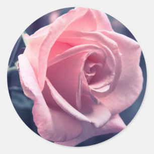 Floral Pink Rose Flower Wedding Party Classic Round Sticker