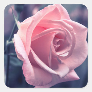 Floral Pink Rose Flower Wedding Party Square Sticker