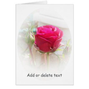 Floral Pink Rosebud Greeting Card