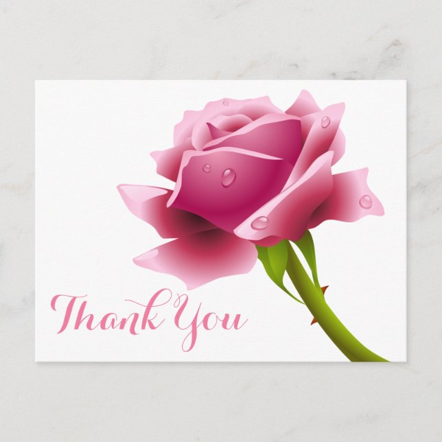 Floral Pink Thank You Rose Flowers Postcard (Front)