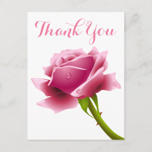 Floral Pink Thank You Rose Flowers Postcard