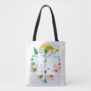 Floral Plant Angiosperm Life Cycle Diagram Chart Tote Bag