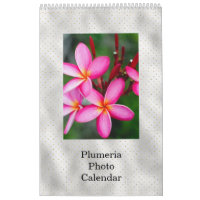 Floral Plumeria Tropical Flowers Photo