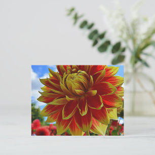 Floral  postcard
