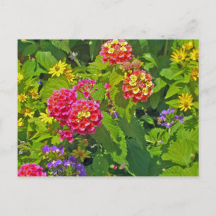 Floral  Postcard