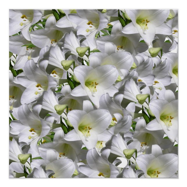 Floral Poster (Front)